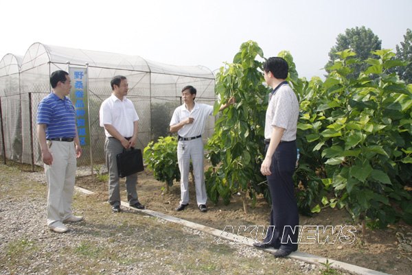 说明: http://kjc.aku.edu.cn/images/10/11/20/gvwuqtbr42/2010062216164705.jpg